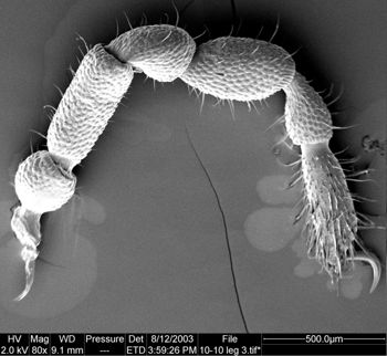 Media type: image;   Invertebrate Zoology 134645